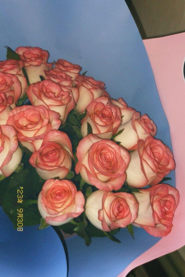 SpringCanvasOpal workshop space where corporate flower arrangements are designed and prepared for business delivery